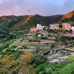 arbanella.hotelitalianriviera.com/